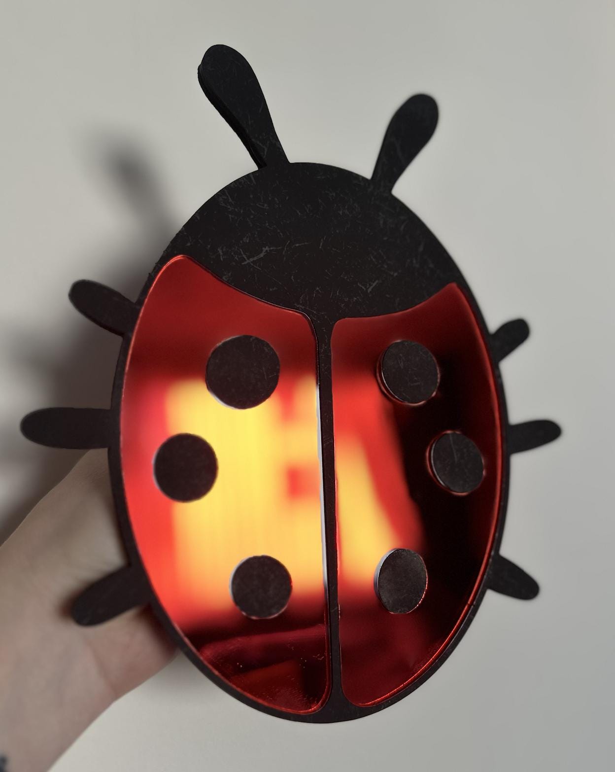 Ladybug Mirror