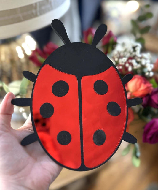Ladybug Mirror