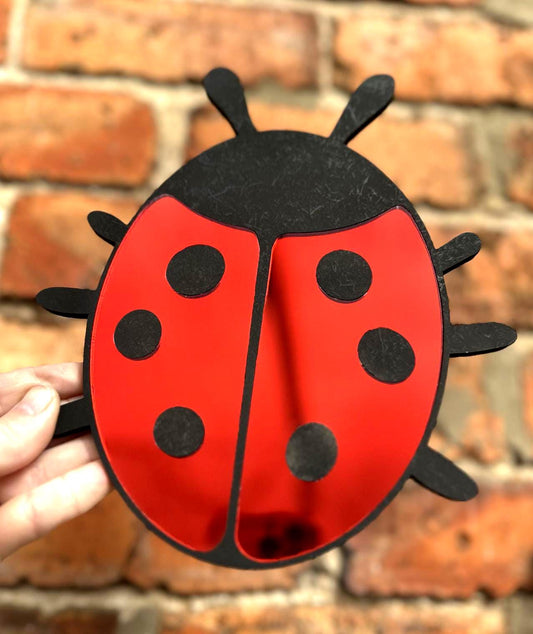 Ladybug Mirror
